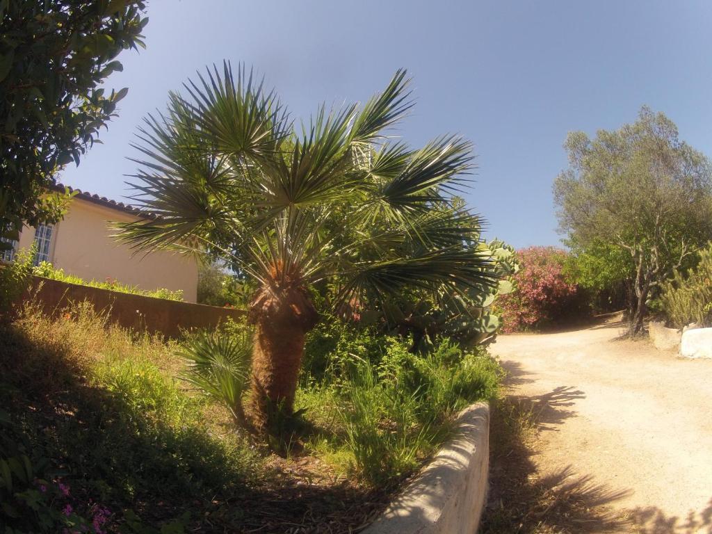 Residence La Beloutiere Porto-Vecchio  Zewnętrze zdjęcie